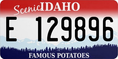 ID license plate E129896