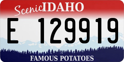 ID license plate E129919