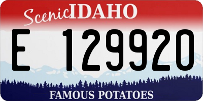 ID license plate E129920