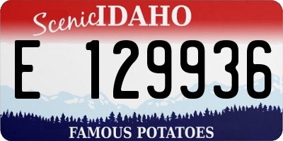 ID license plate E129936