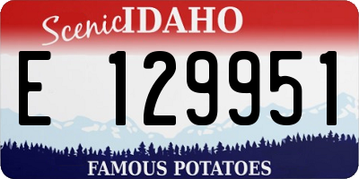 ID license plate E129951