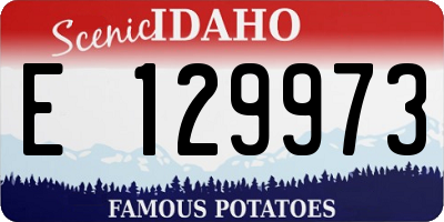 ID license plate E129973