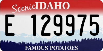 ID license plate E129975