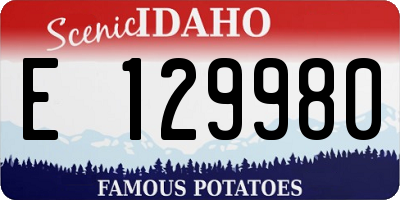 ID license plate E129980