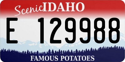 ID license plate E129988