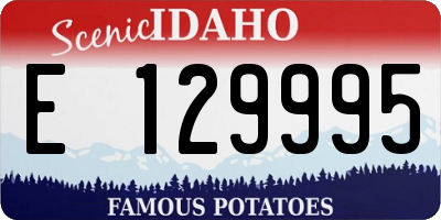 ID license plate E129995