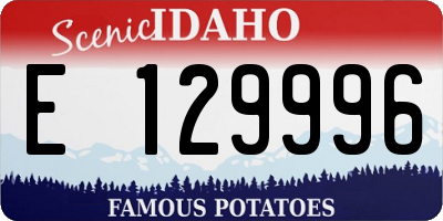 ID license plate E129996