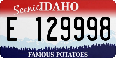ID license plate E129998