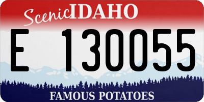 ID license plate E130055