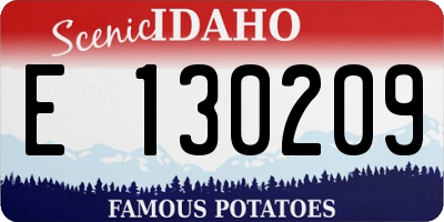 ID license plate E130209