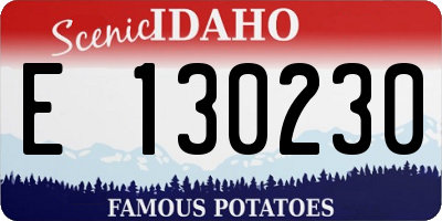 ID license plate E130230