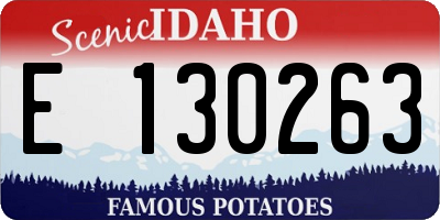 ID license plate E130263