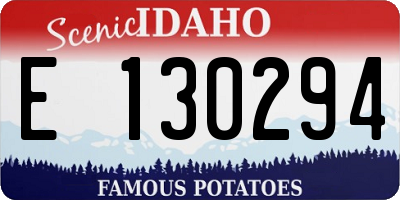 ID license plate E130294
