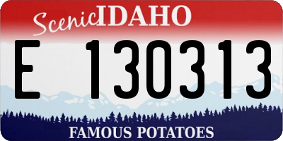 ID license plate E130313
