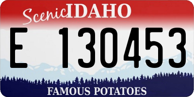 ID license plate E130453