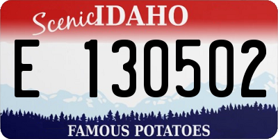 ID license plate E130502