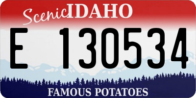 ID license plate E130534