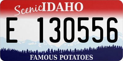 ID license plate E130556