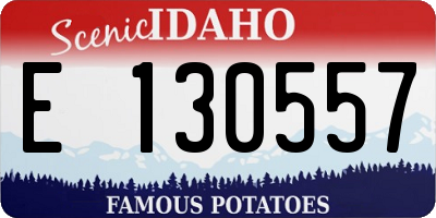 ID license plate E130557