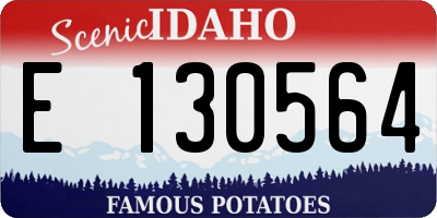 ID license plate E130564