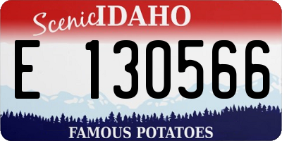 ID license plate E130566