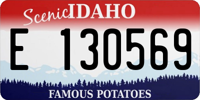 ID license plate E130569