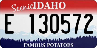 ID license plate E130572