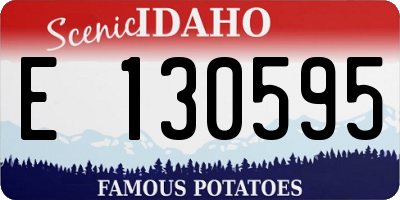 ID license plate E130595