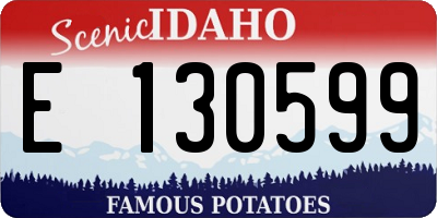 ID license plate E130599