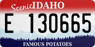 ID license plate E130665