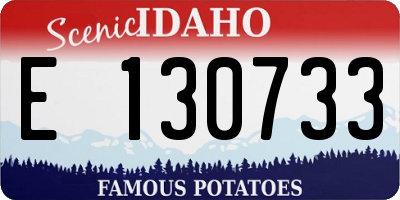 ID license plate E130733
