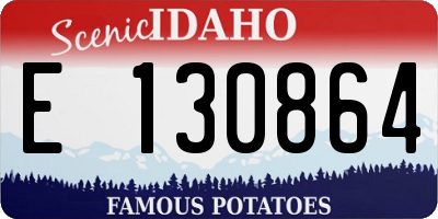 ID license plate E130864
