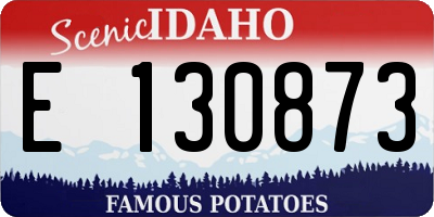 ID license plate E130873