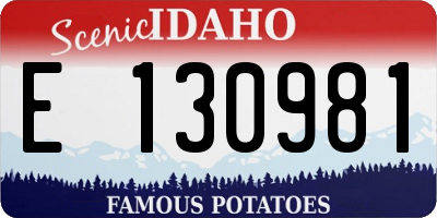 ID license plate E130981
