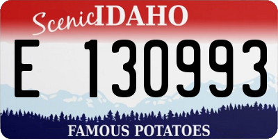 ID license plate E130993