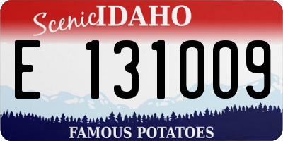 ID license plate E131009