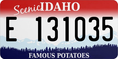 ID license plate E131035