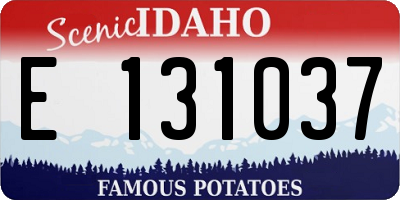 ID license plate E131037