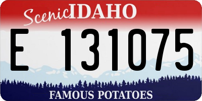 ID license plate E131075