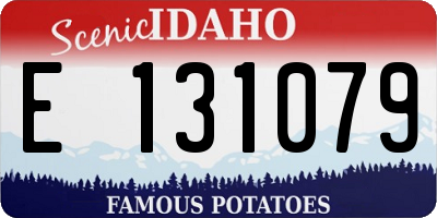 ID license plate E131079