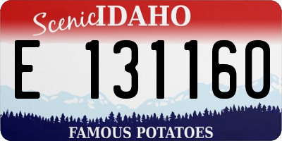 ID license plate E131160