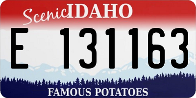ID license plate E131163