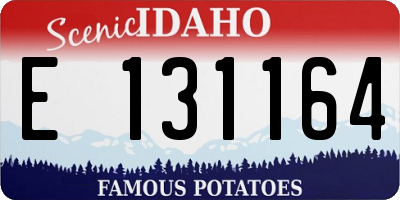 ID license plate E131164