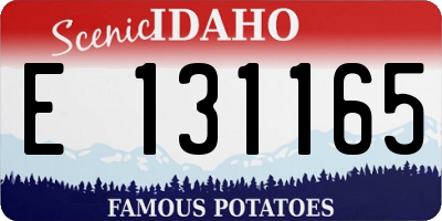 ID license plate E131165