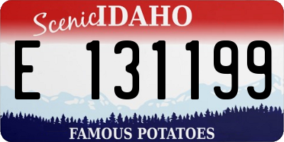 ID license plate E131199