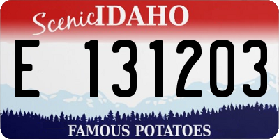 ID license plate E131203