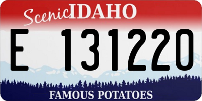 ID license plate E131220