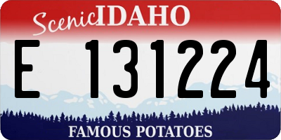 ID license plate E131224