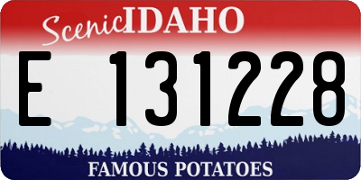 ID license plate E131228