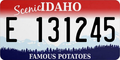 ID license plate E131245